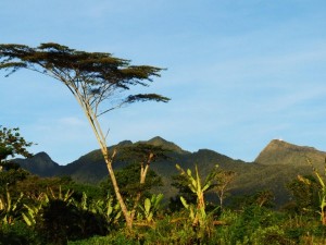 A view of Mount Kitanglad Range, homeland of indigenous peoples and one of the country's important biodiversity sites. MindaNews file photo by H. Marcos C. Mordeno