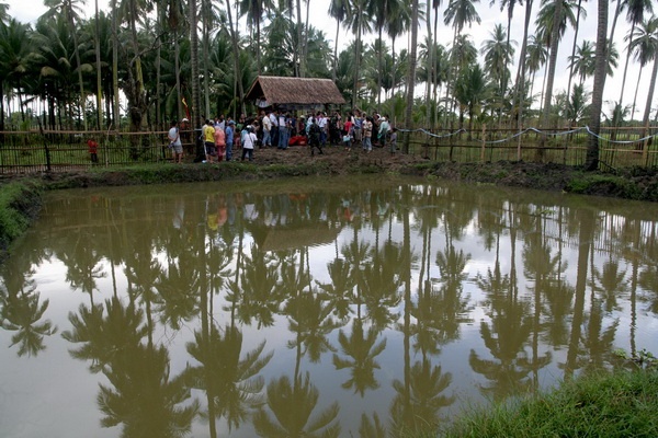 The 300-square meter "Peace Pond" at Barangay Kapinpilan in Misadayap, North Cotabato. Twelve more "peace ponds" were made in 12 other barangays in Midsayap as part of the rehabilitation efforts after the war in 2008. Mindanews photo by Keith Bacongco
