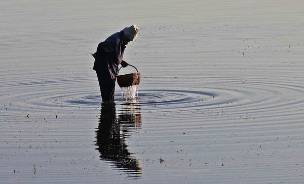 A fisherman gathers shells and oysters near kauswagan wharf in kauswagan town in Lanao del Norte last August 31, 2011. MindaNews photo