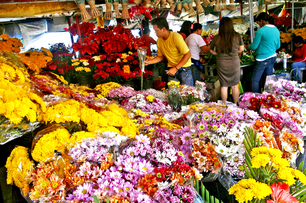 A customer chooses from a wide array of flowers being sold at a stall in Agdao Public Market, Davao City on Monday, October 31. Prices of flowers, which are common offerings of Filipinos to their dead loved ones, have increased due to the demand on All Saints' Day and All Souls' Day. MindaNews Photo by Ruby Thursday More
