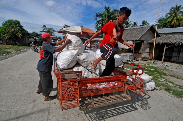 AFTER THE BATTLE. Residents unload their sacks of half-dried copra as they returnto their village in Barangay Tukanalipao, Mamasapano  on January 27, 2015, two days after the fighting that left 44 policemen, at least 10 Moro rebels, and a civilian, dead. MindaNews photo by Froilan Gallardo