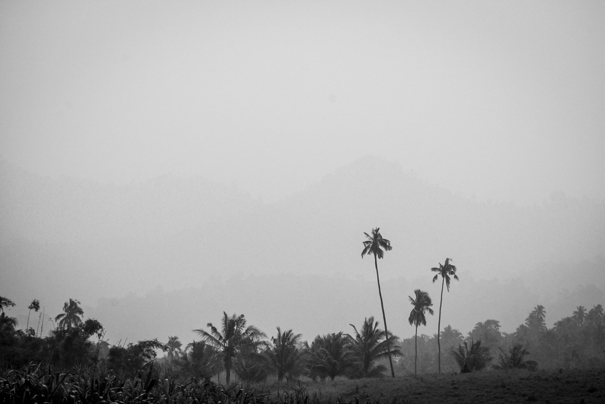 Haze over the mountain ranges in what used to be the MILF's Camp Abubkar in Matanog, Maguindanao on October 23.
