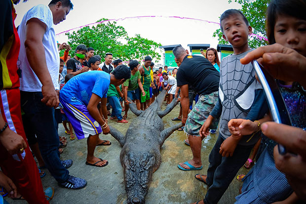 Residents gather around the 14-foot crocodile found dead in a mangrove area of Del Carmen town in Siargao Island last Thursday (27 October 2016).  Contributed photo by Vincent E. Guarte