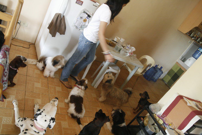 A rare photo of the pack taken at our rented house. (September 11, 2010)