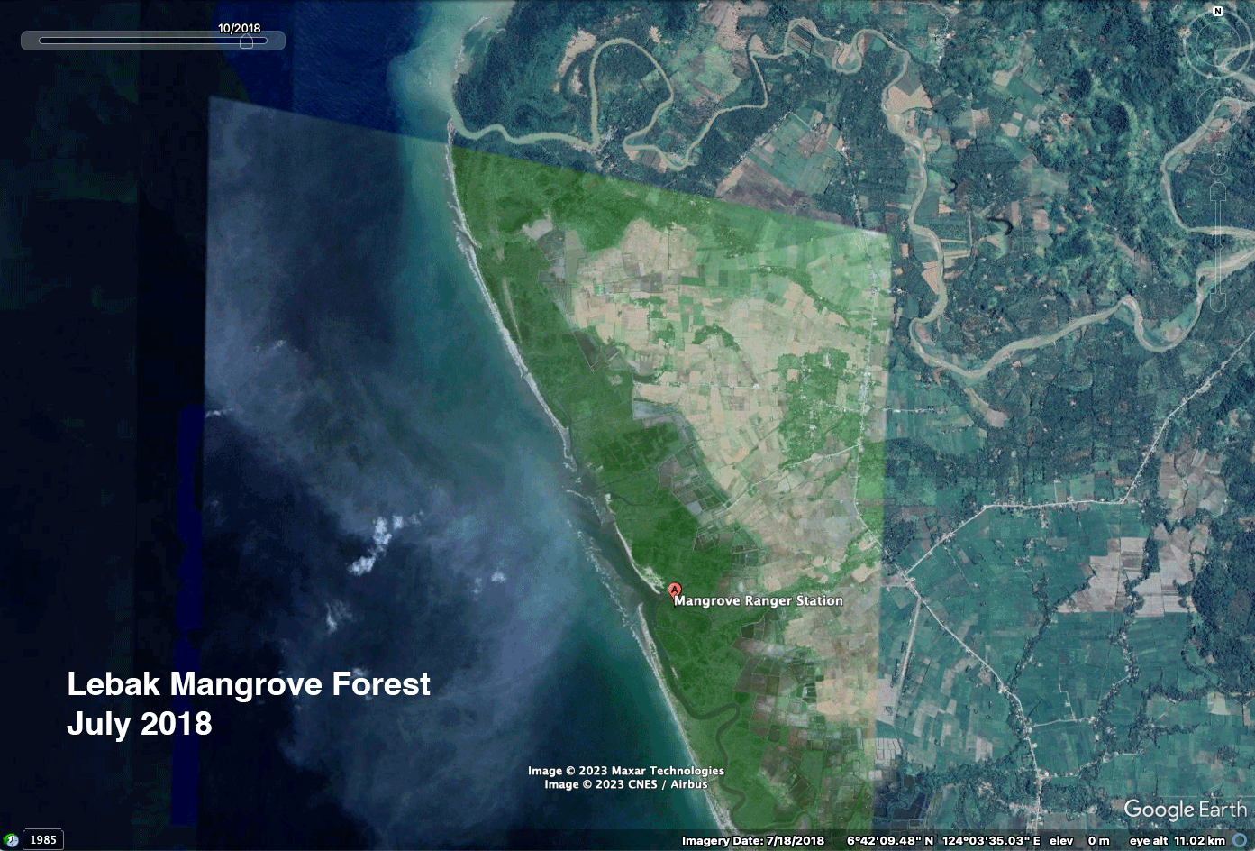 lebak mangrove