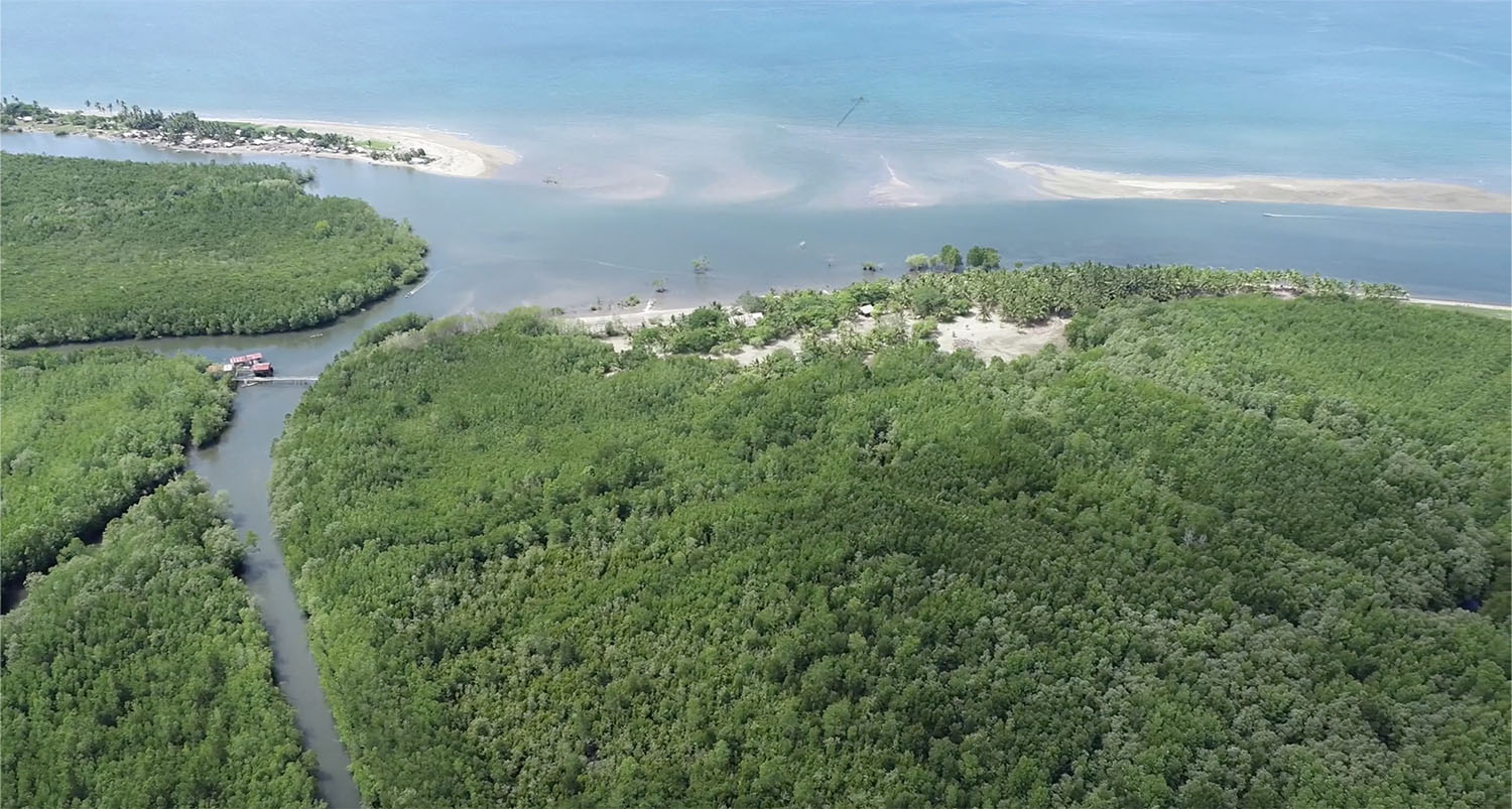m24 mangrove area cenro web