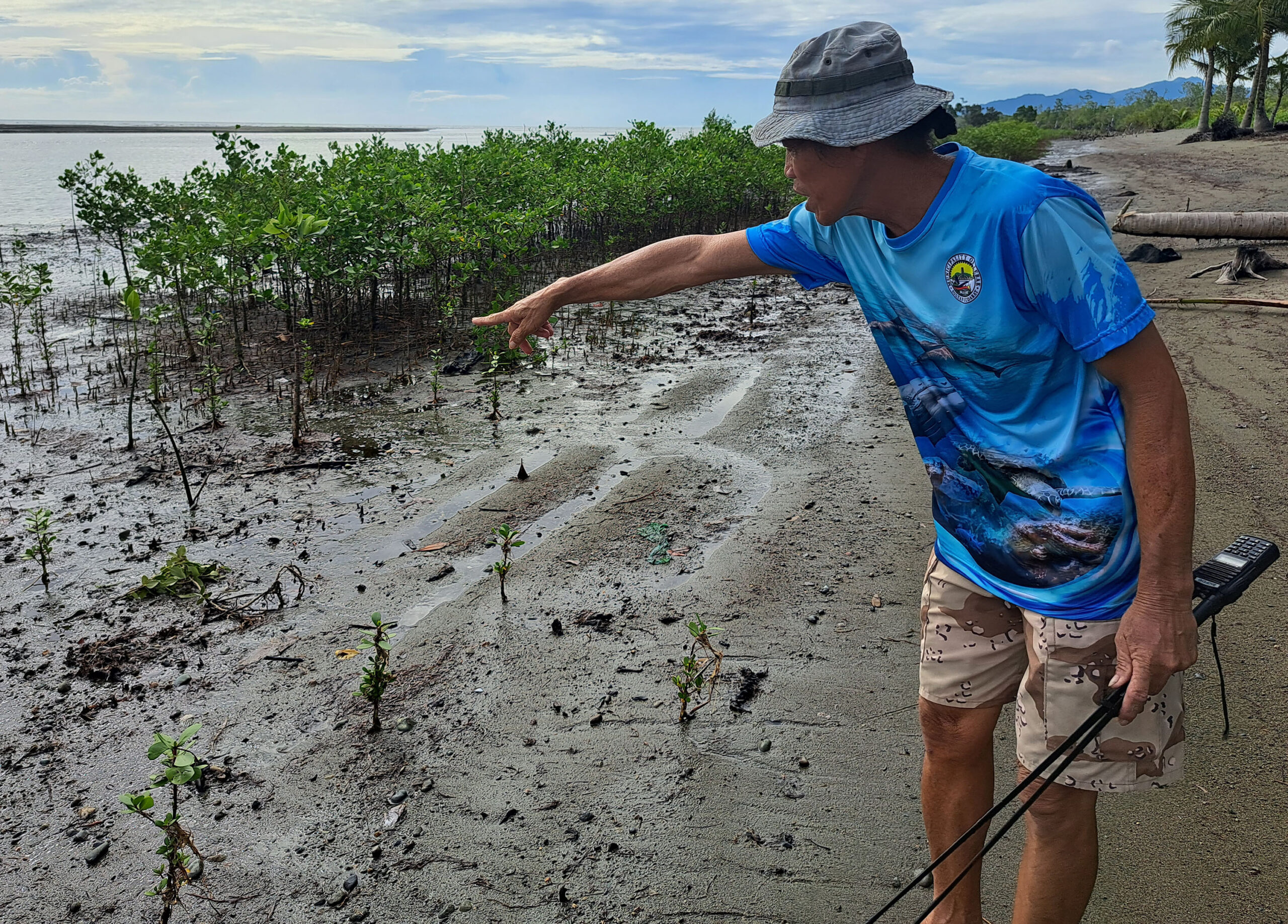 m24 mangroves young scaled
